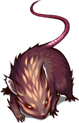 Portrait de Rat des plaines